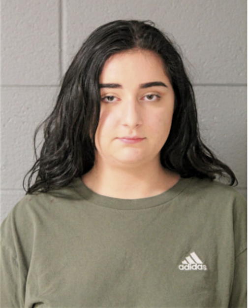 NATALIE M BRADY, Cook County, Illinois