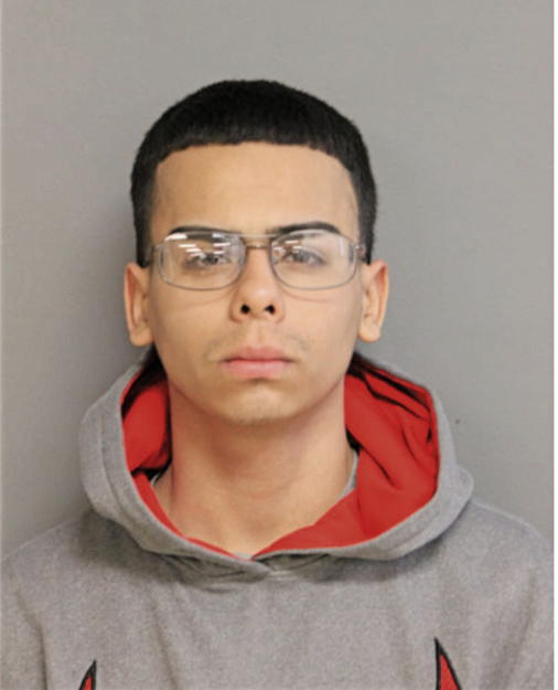 SAMUEL CARMOLINGA, Cook County, Illinois