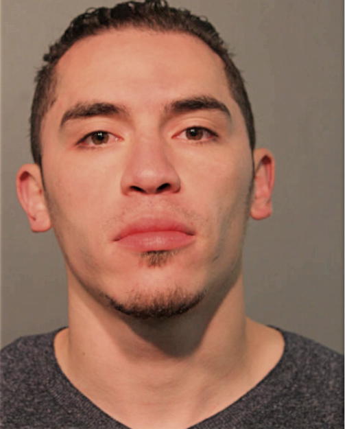 MATTHEW A CASTILLO, Cook County, Illinois