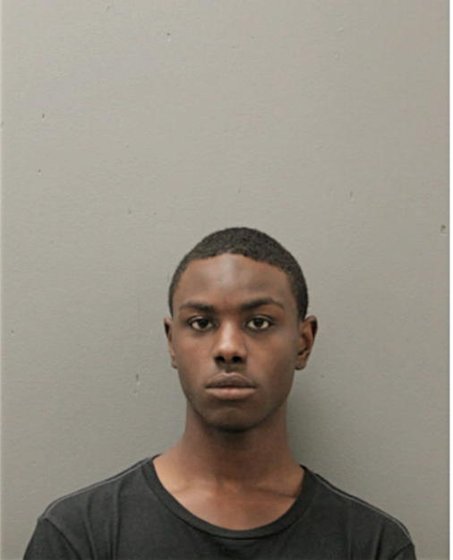 MONTAI ELLIS, Cook County, Illinois