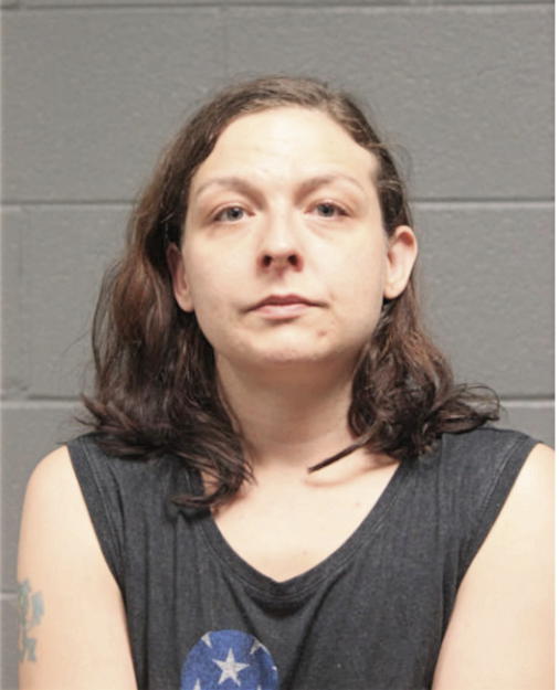 CHRISTINE M FREDERICK, Cook County, Illinois
