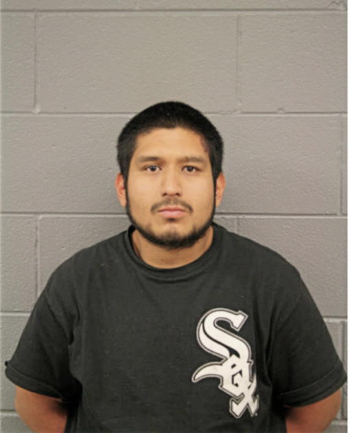 BRIAN C HERNANDEZ, Cook County, Illinois