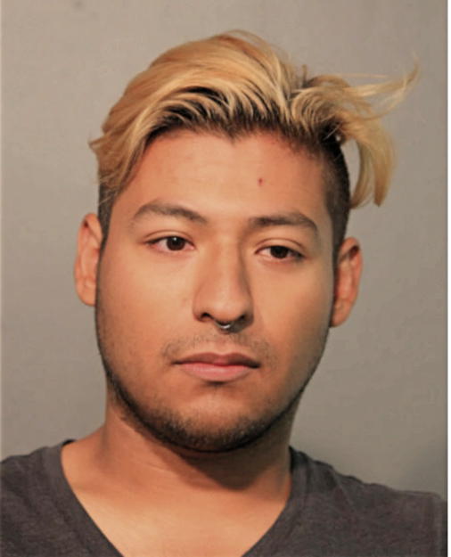 JESSE R JIMENEZ, Cook County, Illinois