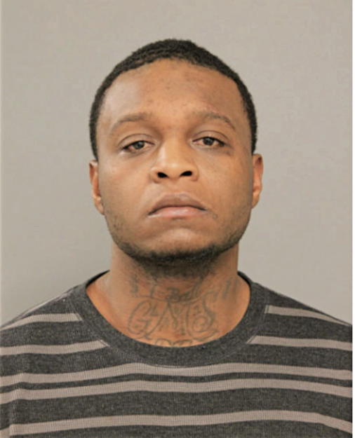 DANIEL M JOHNSON, Cook County, Illinois