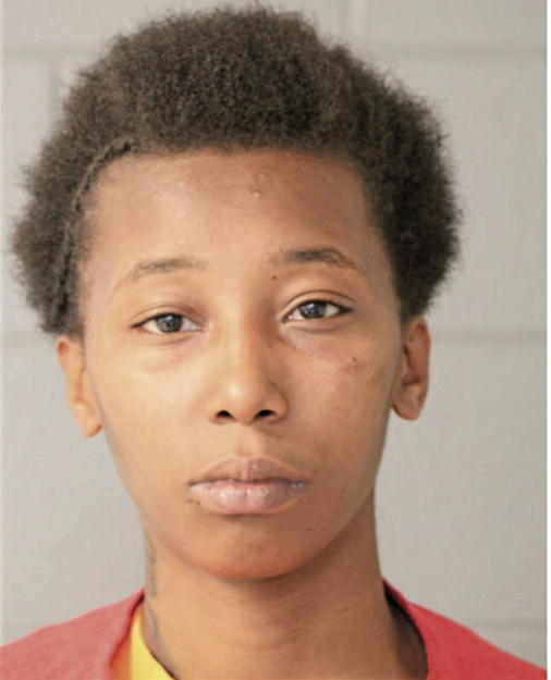 VICTORIA L JONES, Cook County, Illinois