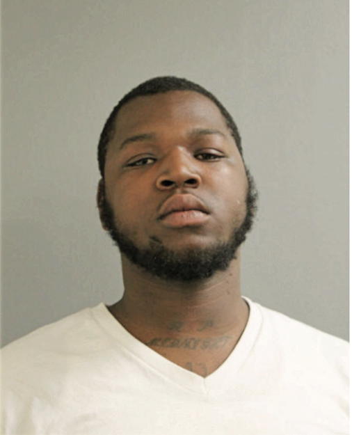 DEMETRIUS D LANE, Cook County, Illinois