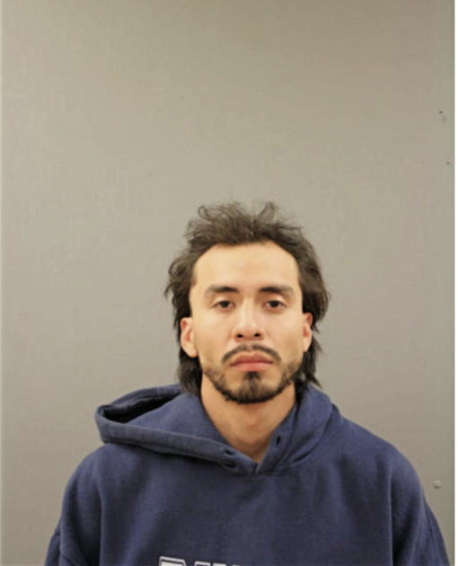 CESAR F MARTINEZ, Cook County, Illinois