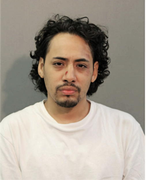 ROBERTO MELENDEZ, Cook County, Illinois