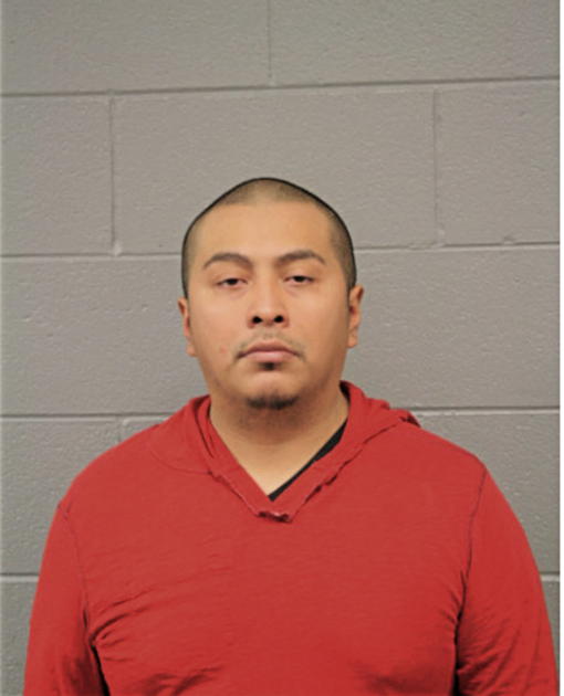 MARIO ALBERTO MENA, Cook County, Illinois