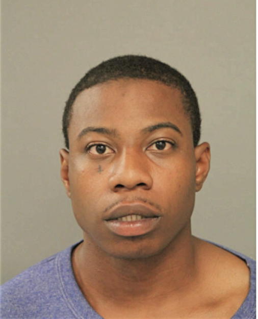 DAMIAN R MOSLEY, Cook County, Illinois