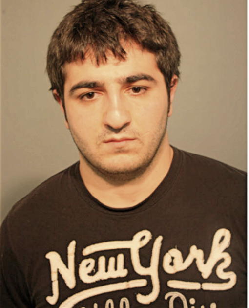 RAMIL MUSAEV, Cook County, Illinois