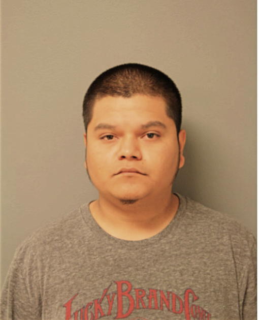 ISAEL OCHOA, Cook County, Illinois