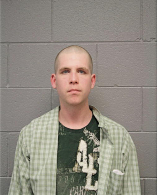 JOHN W PAGE, Cook County, Illinois