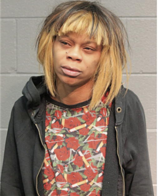 SETINA L ROBINSON, Cook County, Illinois