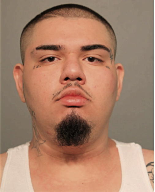 MIGUEL A SALAS, Cook County, Illinois