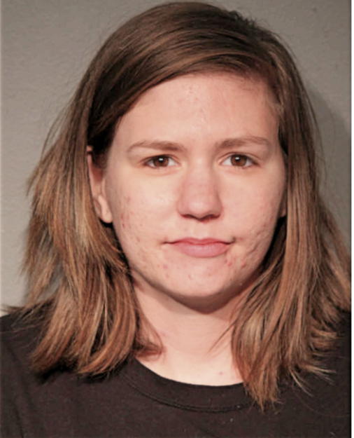 BRITNEY A SICILIANO, Cook County, Illinois