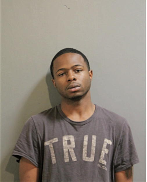 STEVEN AYODEJI AJAYI, Cook County, Illinois