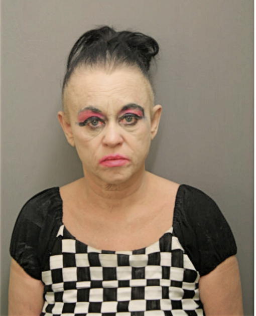 CAROLINE ANNE BAIRD, Cook County, Illinois