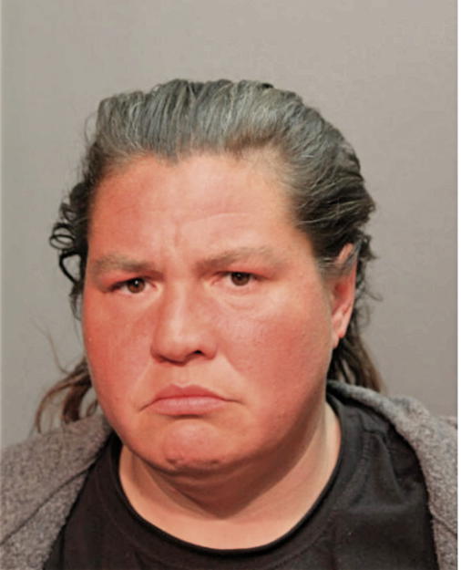 ROBIN L BAUMANN, Cook County, Illinois