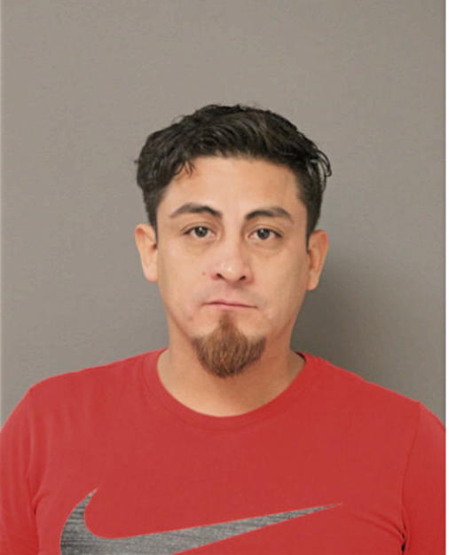 CARLOS CALLE, Cook County, Illinois