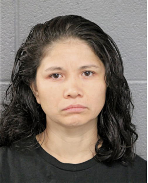 VIVIAN A CRUZ-ALFARO, Cook County, Illinois