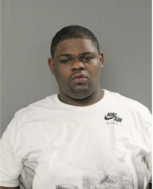 ERIK K EMERSON, Cook County, Illinois