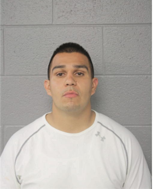 GABRIEL MOSES GARCIA, Cook County, Illinois