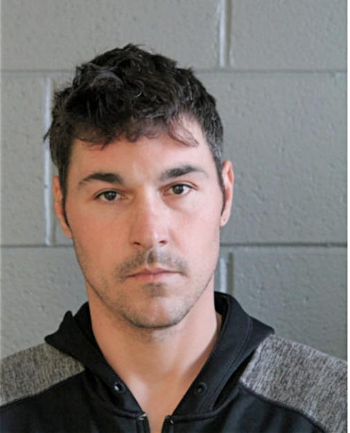 PAUL GATTONE, Cook County, Illinois