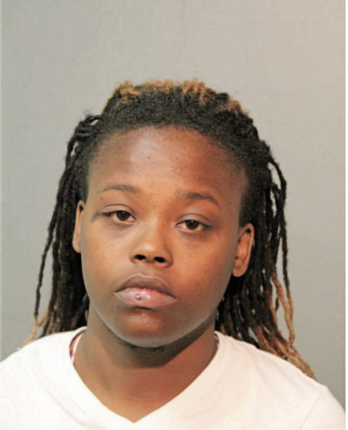 BRITTANY N HOPSON, Cook County, Illinois