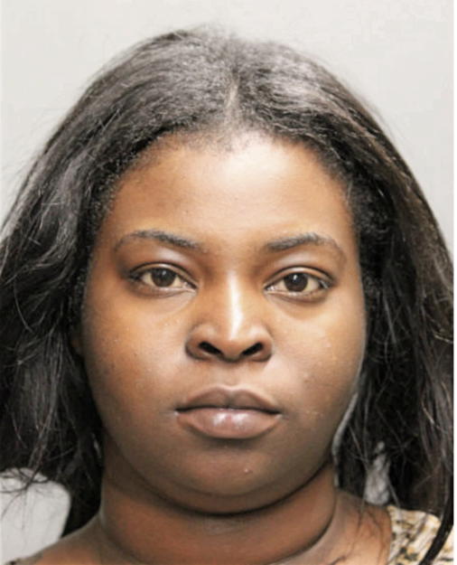 BRIEANNA L MCGEE, Cook County, Illinois