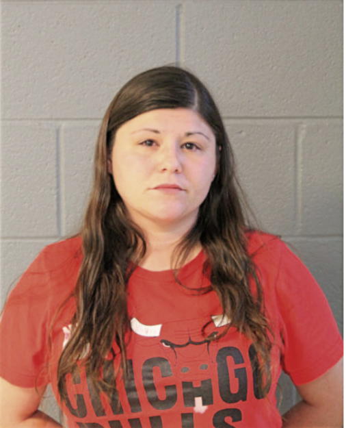 KELLY A MCELDOWNEY, Cook County, Illinois