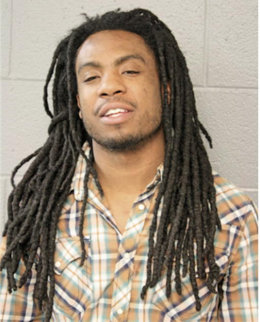 LUKAS L MCGEE, Cook County, Illinois