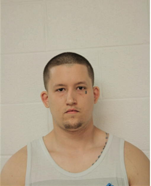 SCOTT ANTHONY OLSON, Cook County, Illinois