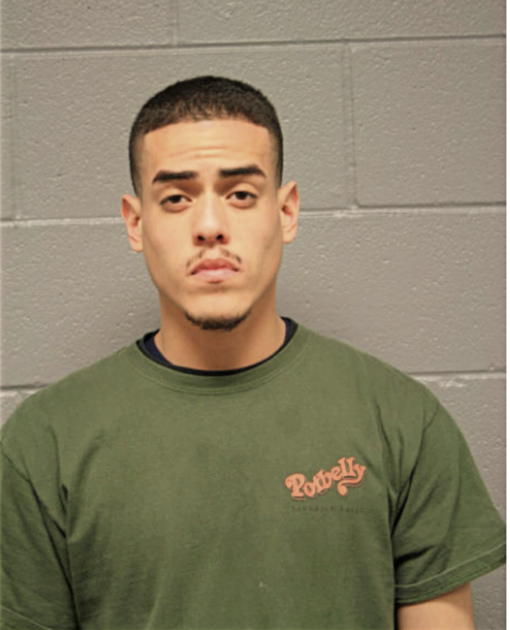 ALEX H ROMAN, Cook County, Illinois