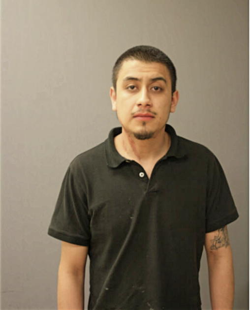 URIEL SANTANA, Cook County, Illinois