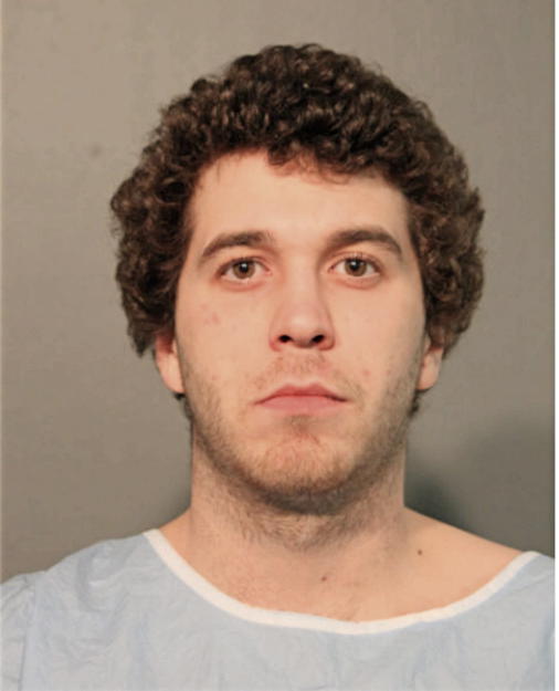 JOSEPH S STARCEVICH, Cook County, Illinois