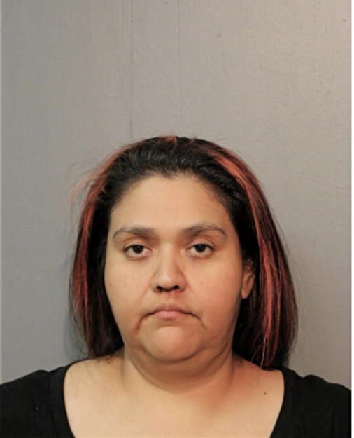 GABRIELA MENDOZA VALDEZ, Cook County, Illinois