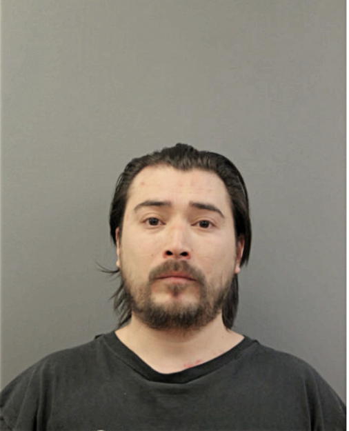 CHRISTIAN F VILLAGOMEZ, Cook County, Illinois