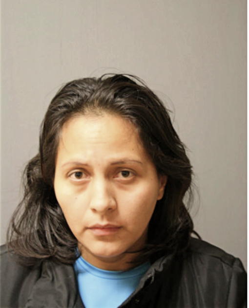 MARICELA N YUNGA, Cook County, Illinois