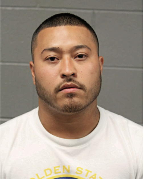 MIGUEL ACEVES, Cook County, Illinois