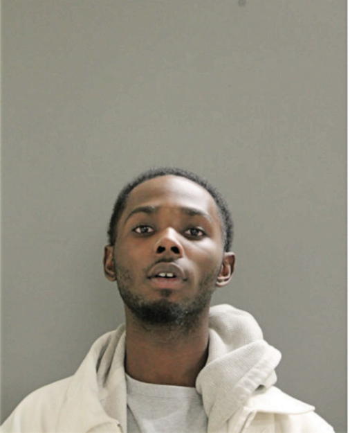 JAMES E BRADFORD, Cook County, Illinois