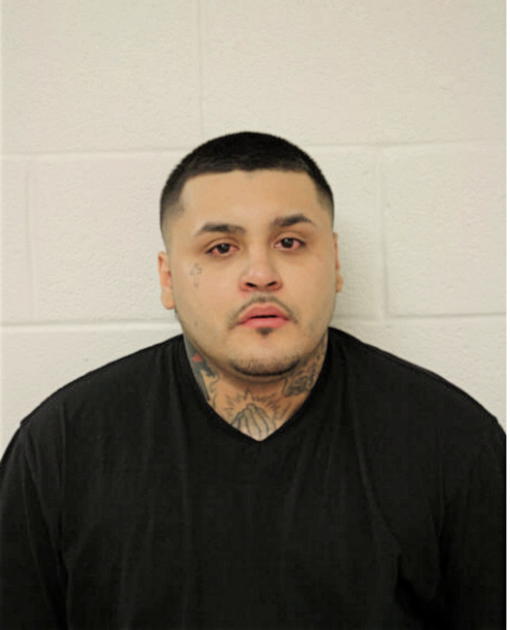 RENE S CARDONA, Cook County, Illinois