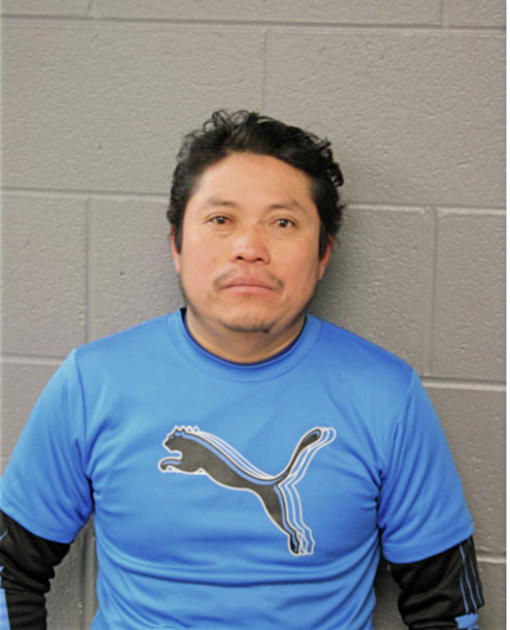 CARLOS ESTRADA, Cook County, Illinois