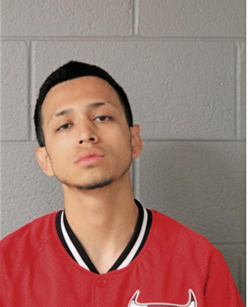 JUAN D ESTRADA, Cook County, Illinois