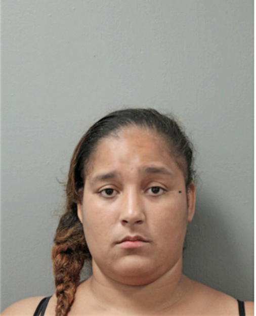 VANESSA M FERNANDEZ, Cook County, Illinois
