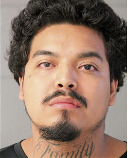 RICARDO GALARZA, Cook County, Illinois