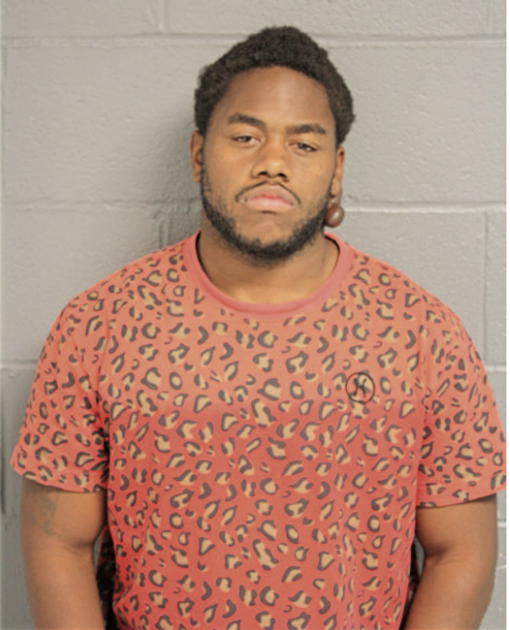 JUSTIN S GARMON, Cook County, Illinois