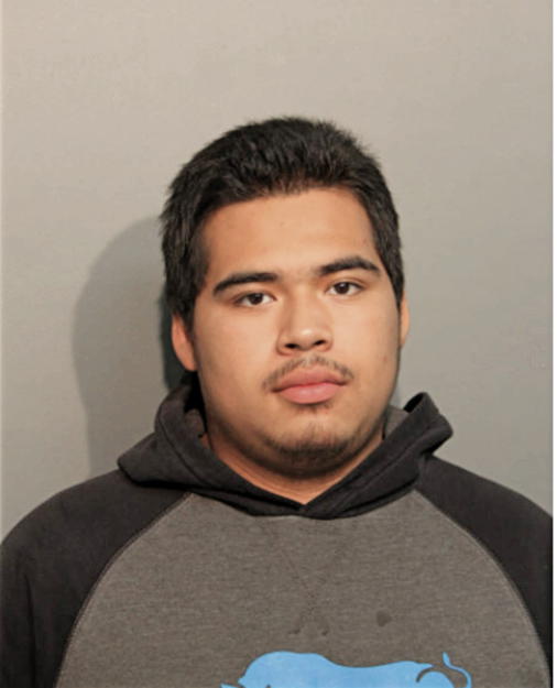 JOSE L GONZALEZ, Cook County, Illinois