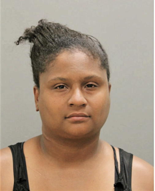 MICHELLE A JOHNSON, Cook County, Illinois