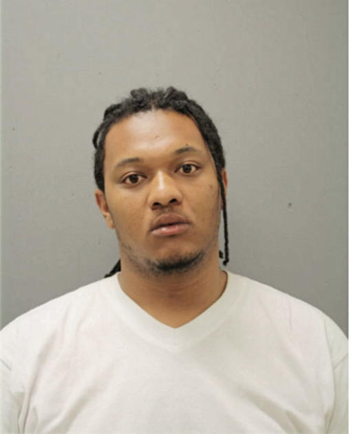TERRY T JOHNSON, Cook County, Illinois